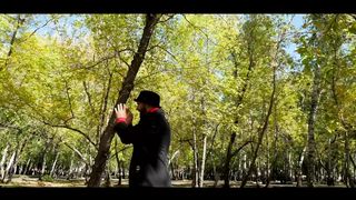 SokolovBrothers - Ты Пастырь мой