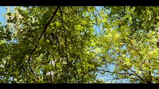 SokolovBrothers - Ты Пастырь мой