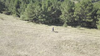 Pavel Pislari - Новое сердце