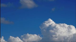 Павел Маяков и друзья - В ожидании вечности