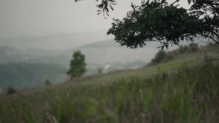 Элани Москалу и Элани Бойчук - Жизнь как роза