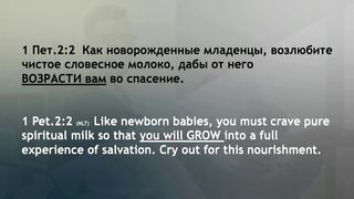 Богдан Бондаренко - Много знаю, но мало исполняю