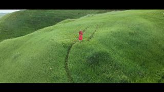 Регіна Савчук - Троянда