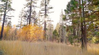 Светлана Демко - Ти Неосяжний