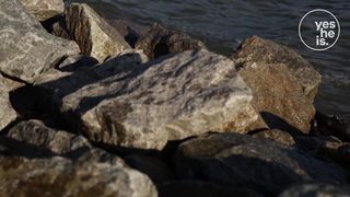 Самый главный вопрос