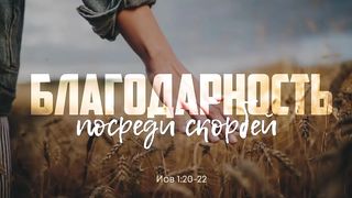 Алексей Коломийцев - Благодарность посреди скорбей