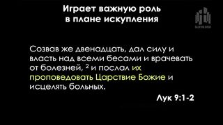 Алексей Коломийцев - Неизвестное царство