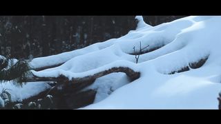 Владимир Головач - З нами Бог