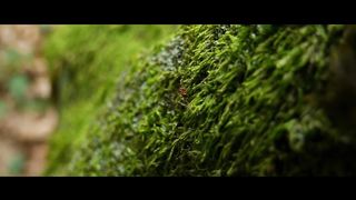 Владимир Головач - З нами Бог