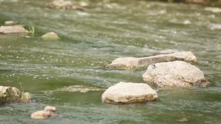 Господь - наш Бог!