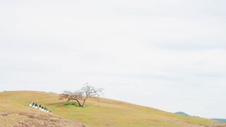 Белый Ангел - Особенный день