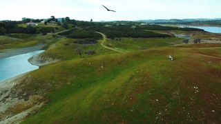 Белый Ангел - Особенный день