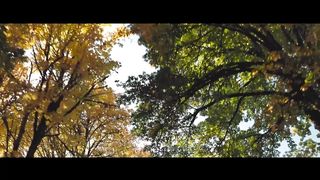 Высокая Гармония - Птички Улетают Вдаль