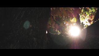 Высокая Гармония - Птички Улетают Вдаль