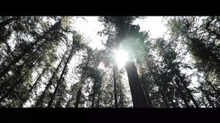 Высокая Гармония - Косари на Лугу