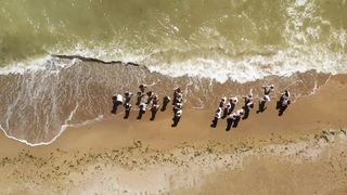 Даяна Кочанжи - Он защитит меня