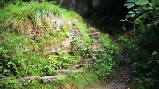 Skubenich Brothers - Если силы ослабеют