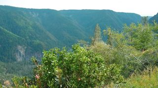 Лариса Кайдрис - Ты мой Бог