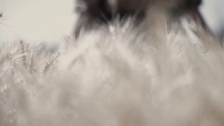 Валерий Шибитов - Все пройдет