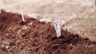 Сад исцеления (2021)