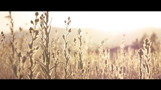 Высокая Гармония - Звёзд дивные алмазы