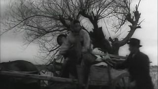 Небо над болотом (1949)