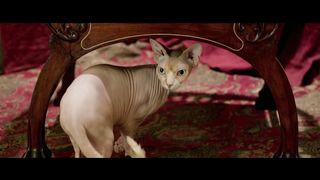 Поликарп (2015)