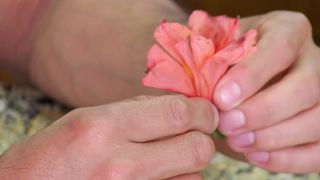 Искупление сердца (2015)