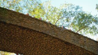 Мелодия - Молись