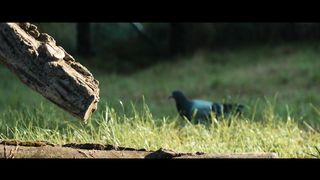 Pavel Pislari - Добрые дела