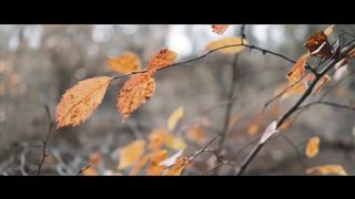 Joy's - А любов ще жива