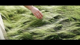 Емілія Янюк - Прийди