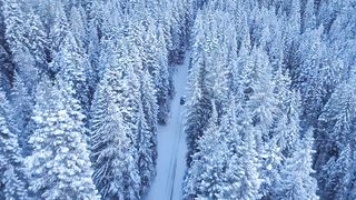 Павел Шостенко - В небе белый снег кружится