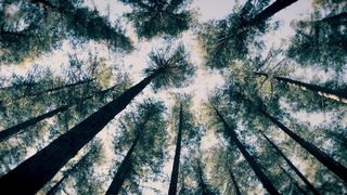 Simon & Max Khorolskiy – Велик наш Творец и наш Бог