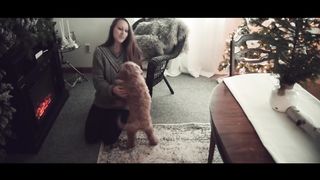 Голдендудль на Рождество (2020)