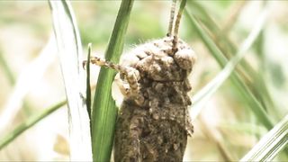 Лего Фильм: Библия (2020)