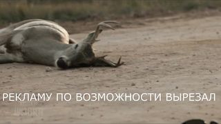 Сыны Грома (2019) 3