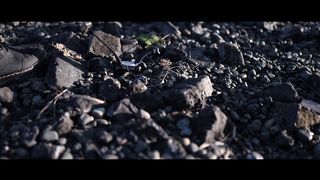 Валерий Шибитов - Я твой