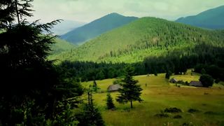 Basis - Прекрасний Ти