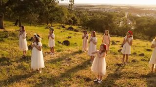 Арфочки - Посмотрите