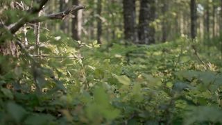 Simon Khorolskiy – Бог же мира