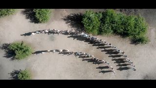 Олег Майовський - До Небес