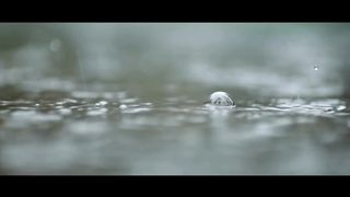 Валерий Шибитов - Сердце мое