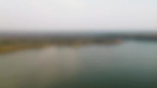 Шариковы - Ты всё содержишь