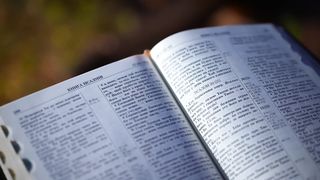 Skubenich Brothers - Тобой гореть