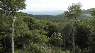 Дарина Кочанжи - Ты позови Меня