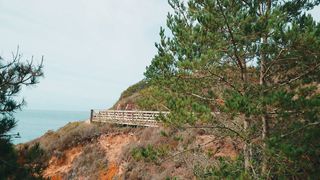 Вдохновение - Аллилуйя