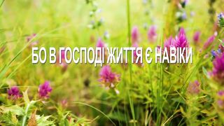 Skubenich Brothers - Ні висота ні глибина