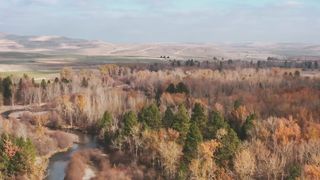 Simon Khorolskiy - Летят журавли