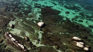 Нотки - Я даю мир